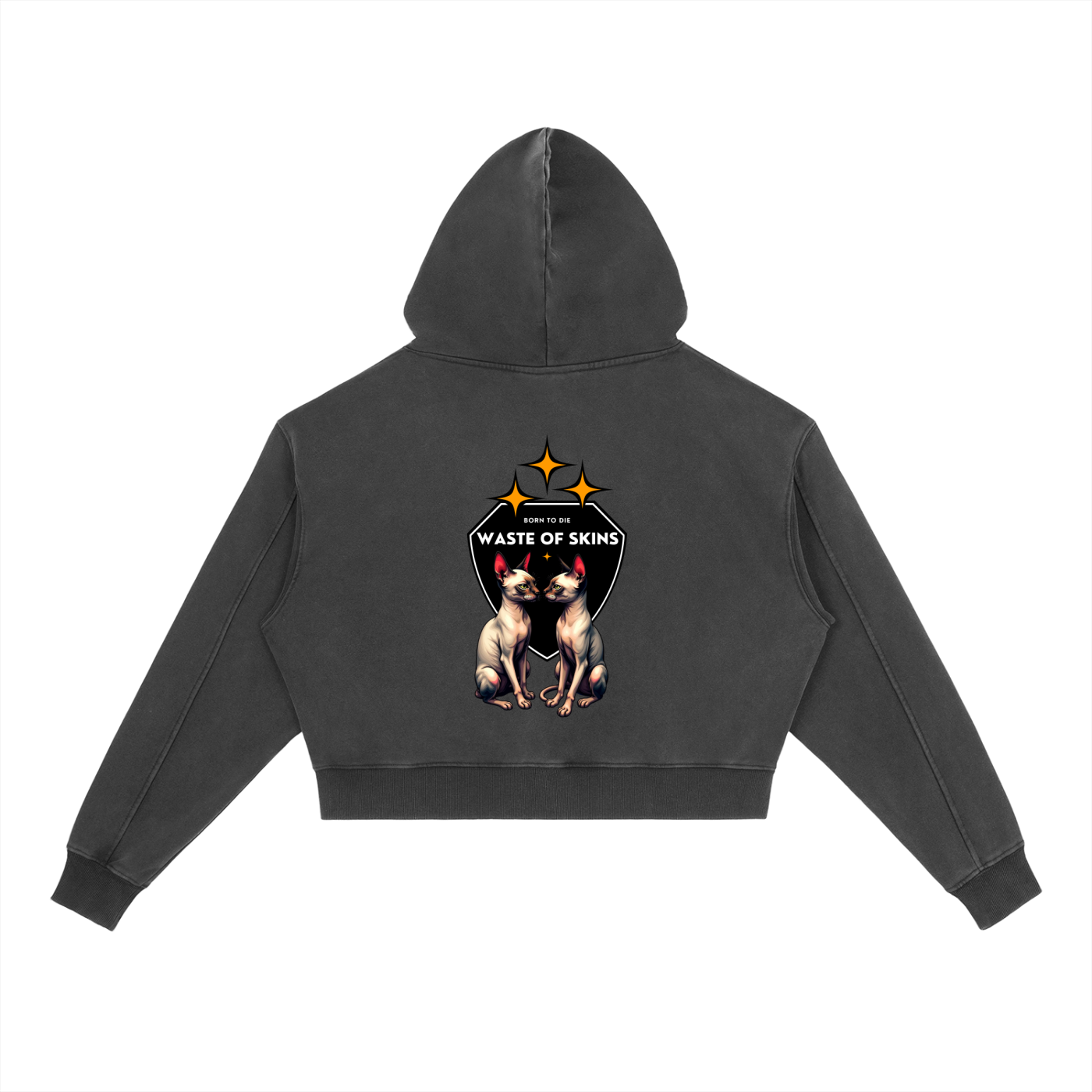 “BORN TO DIE” — Waste of Skins® Washed Hoodie